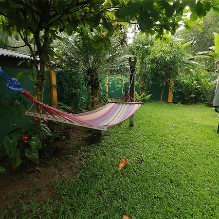 Mary'S Palm Garden Hotel Hikkaduwa Exterior foto